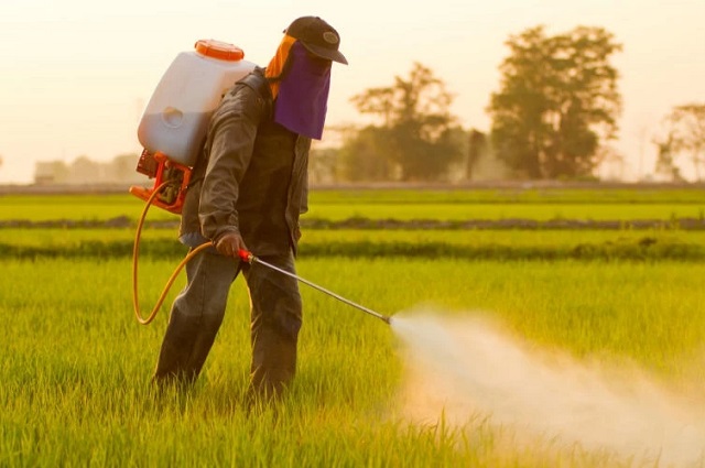 Pest Guard Partners with Local Farms to Protect Crops from Pests