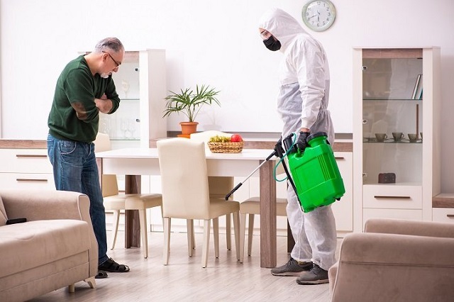 DIY vs. Professional Pest Control: What You Need to Consider