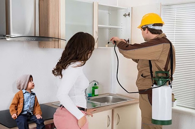 Safe Pest Control Solutions for Homes with Pets and Children