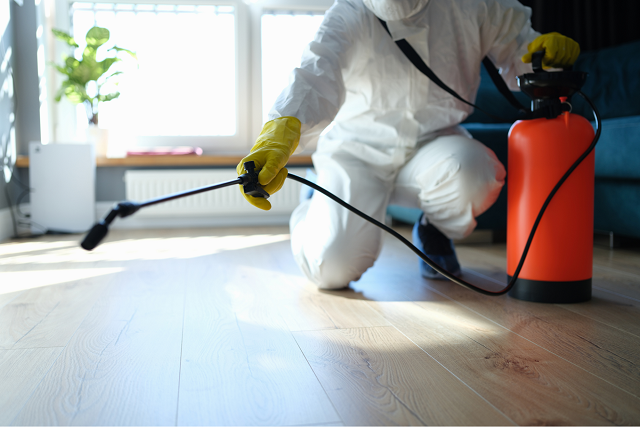 The Importance of Regular Pest Inspections: Prevent Infestations Before They Start